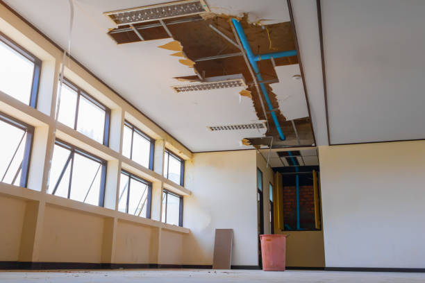 Best Water damage restoration process  in Crestview Hills, KY