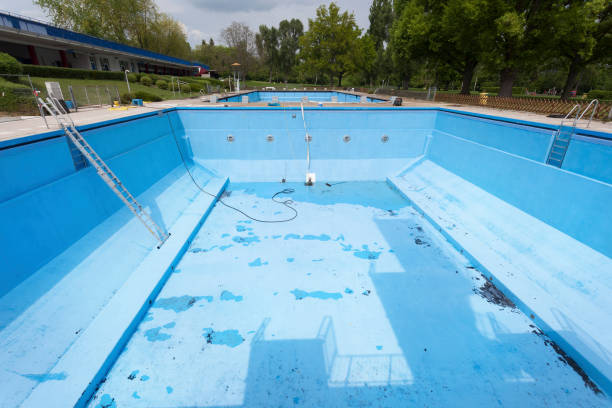 Best Mold removal after water damage  in Crestview Hills, KY