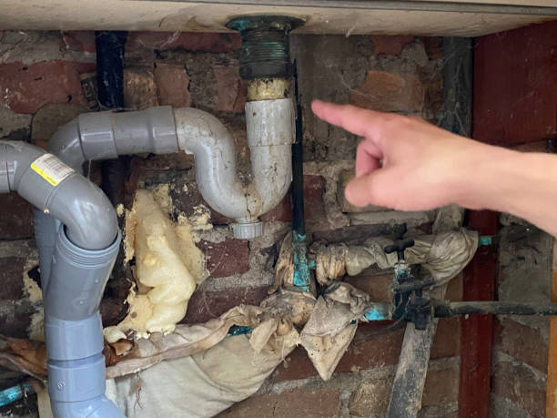 Best Water damage restoration near me  in Crestview Hills, KY